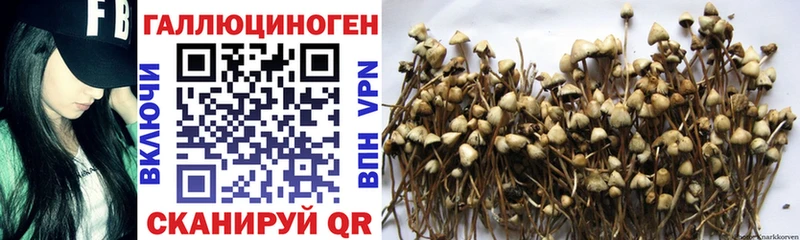 Галлюциногенные грибы мухоморы  где купить   Заинск 