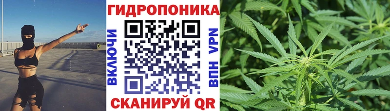 Конопля LSD WEED  Заинск 